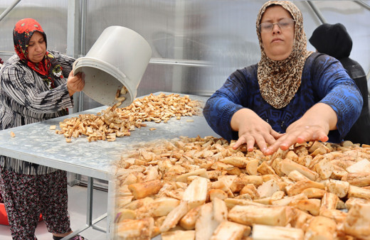 Kilis'te 30 kadın çalışıyor ekmek kapısı oldu: Eğlenceli geçiyor