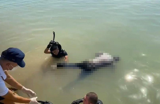 Mersin'de balıkçı barınağında ceset bulundu