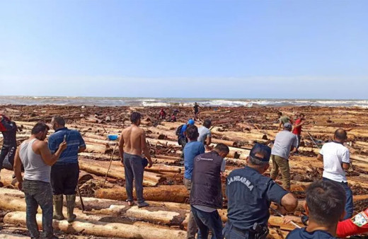 Kastamonu'da denizden 250-300 ceset mi toplandı? İşte Bozkurt, Sinop ve Bartın'dan üst üste acı haberler