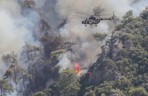 Orman yangınları Türkiye'de 15 milyon ton karbondioksit emisyonuna neden oldu