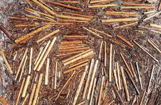 Sinop'ta denizin yüzeyini tomruklar kapladı: Bir sürü can kaybı var