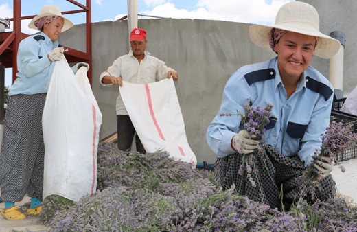 Londra'yı bırakıp Manisa'ya döndü! Hobisini işe çevirdi hayatı değişti