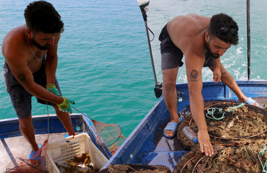 Salgını Tunceli'de fırsata çevirdi ayda 100 bin TL kazanıyor! Avrupa'dan sipariş yağıyor