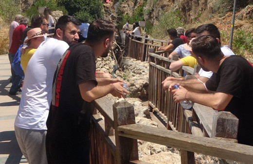 Antalya'da pes dedirten görüntü! Duyan akın etti film gibi izlediler