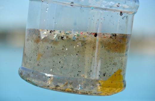 Sel faleketinin yaşandığı Karadeniz'de mikroplastik tehlikesi