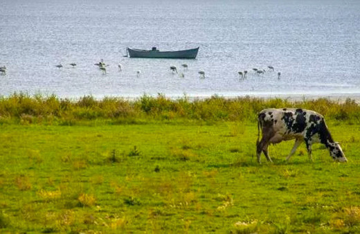 3 ilde doğal sit alanları hassas alan ilan edildi