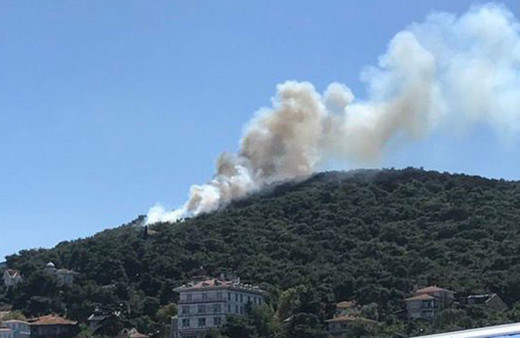 Heybeliada'da yangın çıktı! Herkesin en büyük korkusu gerçek oldu işte son durum