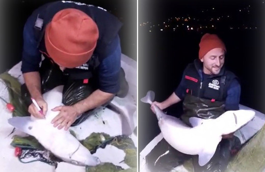 Laz balıkçının köpek balığı ile kahkaha attıran diyaloğu! 'Atayrum onu denize, yine geliy'