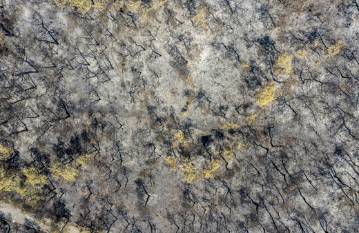 Heybeliada saatler içinde küle döndü! Yangın nedeniyle zarar gören alan görüntülendi