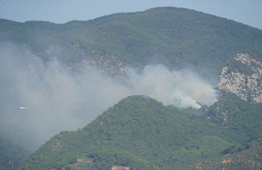 Kazdağları'nda orman yangını! Rüzgarla mücadele ediliyor!