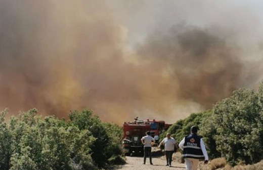 Çanakkale'nin Ezine ilçesinde ormanlık alanda yangın çıktı! Alevler geniş alana yayıldı