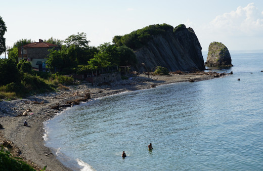 Kastamonu'da afet bölgesinde salgın hastalık arttı! Yasak kararı geldi