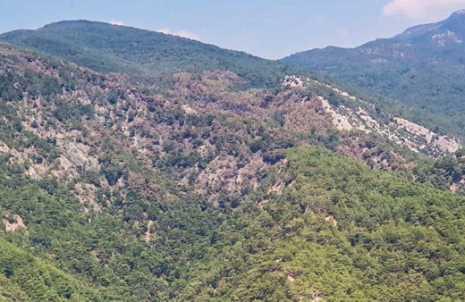 Balıkesir Kazdağları’nda yanan ormanlar havadan görüntülendi
