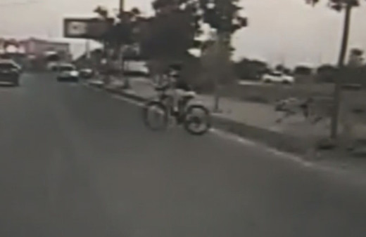 Adana'da sokak köpeklerinin saldırdığı çocuk arabanın altında kalarak can verdi