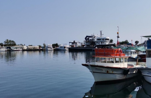 Hamsi ve istavrit avında bu yıl bolluk bekleniyor