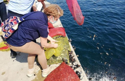 Sarıyer'de kaçak avlanan 1 ton midye ele geçirildi