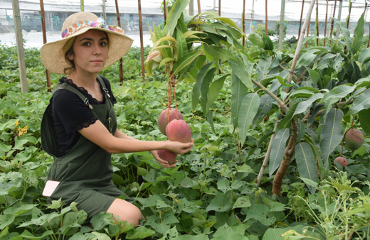 Kilosu 40 TL! Antalya'da maliye mezunu bu işe başladı: Masrafı yok getirisi yüksek