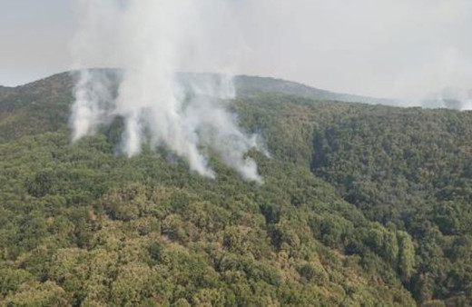 OGM: Tunceli'de 2 helikopter ve 1 uçakla yangına müdahale sürüyor