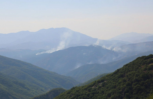 Tunceli’de tüm yangınlar kontrol altına alındı