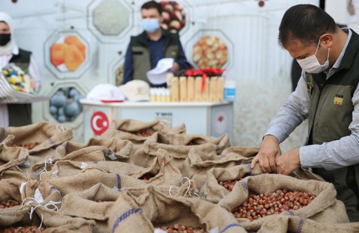 TMO fındık alımlarına başladı işte kilogram bazında fiyatlar...