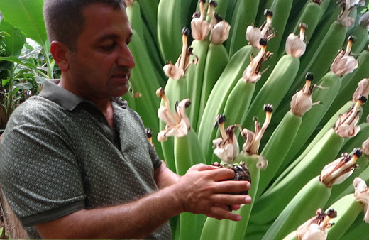 'Yapamazsın' diyenlere inat öğretmenliği bırakıp Adana'da bu işe başladı! Siparişlere yetişemiyor