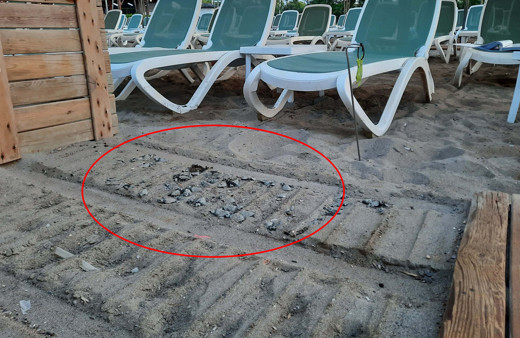 Antalya'da 62 tanesi yürüme bandını altında kaldı! 482 bin 790 TL ceza kesildi