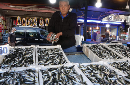Bu sene palamutu unutun! Balıkçılardan yeni sezon fiyatlar açıklaması!