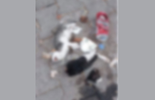 Giresun'da vahşet! Ölü 2 yavru kedi bulundu birinin bacakları ve başı kesilmiş...