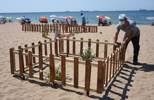 Bartın'da etrafı çitlerle çevrildi! Uyarı levhaları asıldı: Nesli tehlike altında