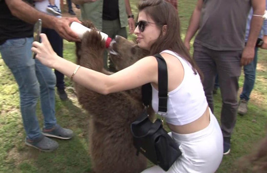 Ayıya haftalık banyosu yaptırıldı! İstanbul'da görenler telefona sarıldı
