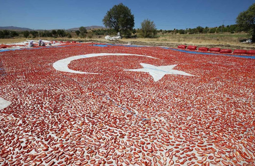 Elazığ'da kurutmalık domateslerle Türkiye haritası oluşturuldu