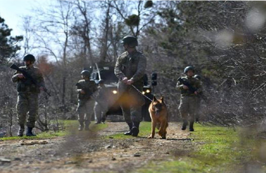 MSB: Yunanistan'a geçmeye çalışan FETÖ ve PKK mensubu 2 kişi yakalandı