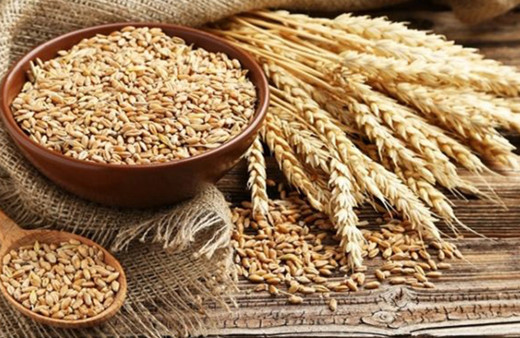 Buğday, arpa, nohut, mercimek ve mısırda gümrük vergisi sıfırlandı