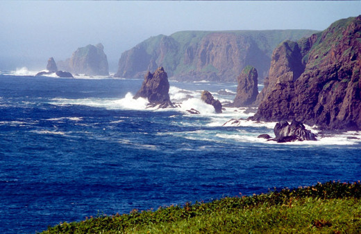 Putin'in Kuril Adaları planı Japonya'yı kızdırdı