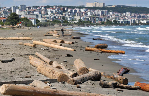 Samsun'un Atakum Plajı'nı tomruklar kapladı! Sinop'taki sel sürükledi