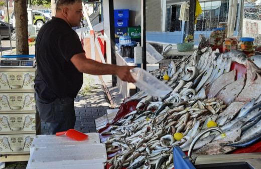 Palamut zengin balığı oldu! Tezgahtan vatandaş eli boş döndü: İşte balık fiyatları....