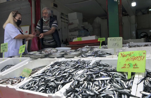 Hamsi sevenlere kötü haber! Kasım-Aralık ayında...