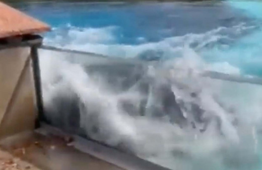 44 yıldır su tankında yaşayan 5 yavrusu ölen arkadaşsız kalan balina Kiska başını vura vura intihara kalkıştı