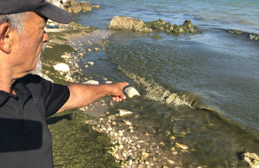 Isparta'da insanlık dışı manzara! Parmağınızı dahi sokmayın, çok üzücü