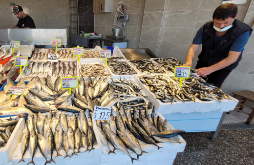 Tezgahlarda bolluk yaşandı balık ucuzladı! İşte fiyatlar...