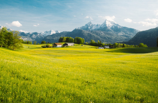 Arsa ve tarla satışlarında rekor kırıldı!