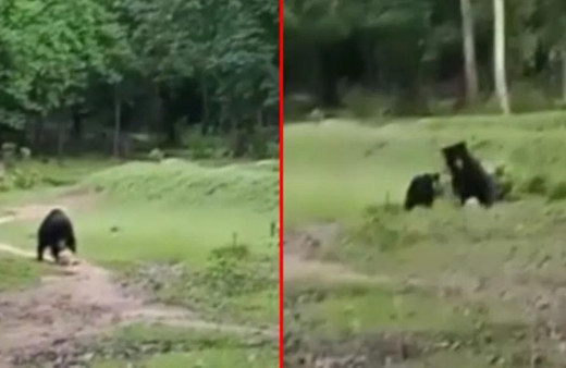 Futbol maçında sürpriz ziyaretçi! Görenler telefona sarıldı