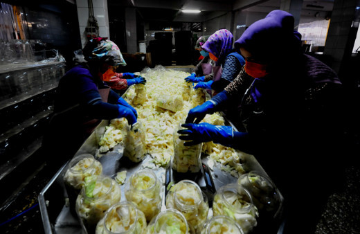 Turşu göçü Bursa Orhangazi'deki mahallede nüfusu ikiye katlıyor