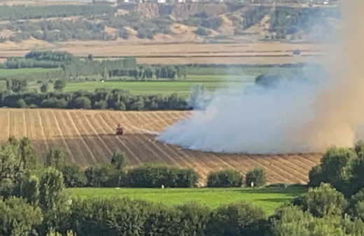 UNESCO Dünya Mirası'nda yer alıyor Diyarbakır Hevsel Bahçeleri yanıyor