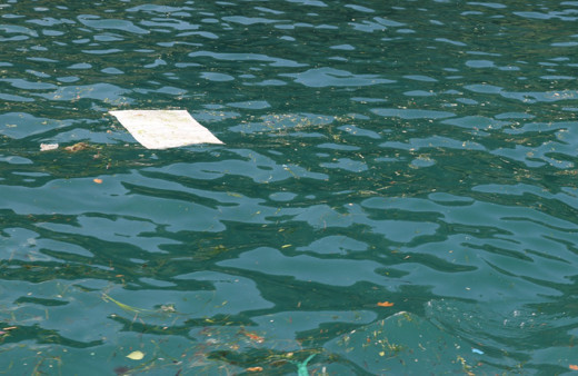 Karadeniz'de 500 metrekarede 2 bin 500 atık çıktı