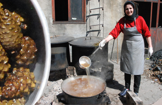 Bartın'da ev kadını çam kozalağı pekmezi yaptı! KOAH'a iyi geliyormuş