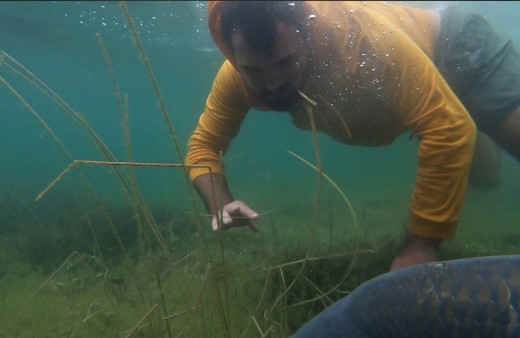 Sakarya'da sezonun rekorunu kırdı! Gören telefona sarıldı: 23 kilo