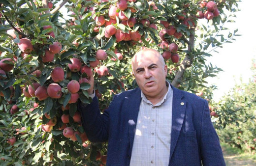 Karaman'da dalında 1.5 lira olan elma 3 km ötedeki markette 6 lira