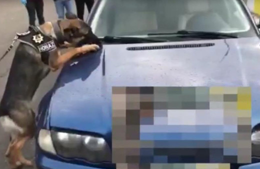 Aydın'da operasyonda 4 kilo ele geçirildi! Değeri 1 milyon TL'yi geçiyor