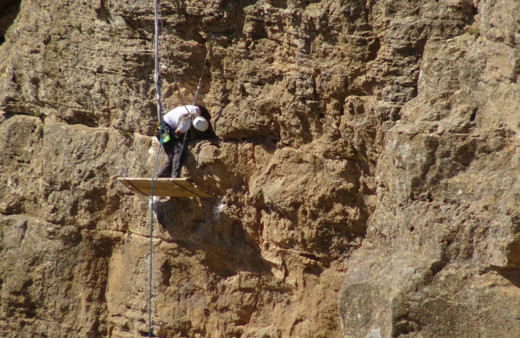 Batman'da tehlikeye aldırmadan uçurumlardan kaya balı topluyorlar